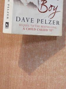 Dave Pelzer - The Lost Boy [antikvár]