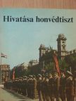 Döndő Rezső - Hivatása honvédtiszt [antikvár]