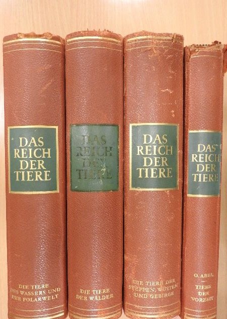 Dr. h. c. Othenio Abel - Das Reich der Tiere I-III./Tiere der Vorzeit (gótbetűs) [antikvár]