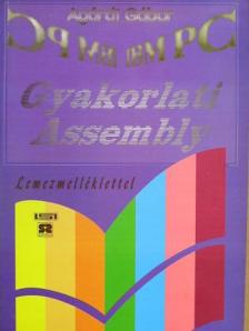 Agárdi Gábor - Gyakorlati Assembly - Floppyval [antikvár]