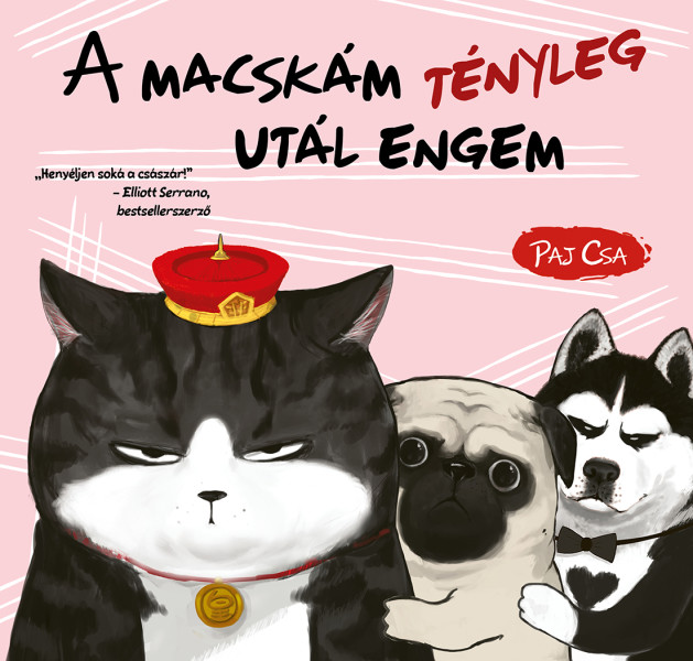 Paj Csa - A macskám tényleg utál engem (Macska és Kutya 2.)