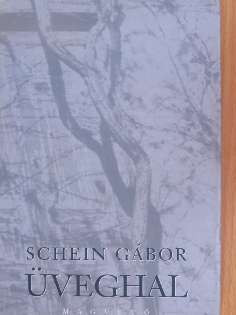 Schein Gábor - Üveghal [antikvár]