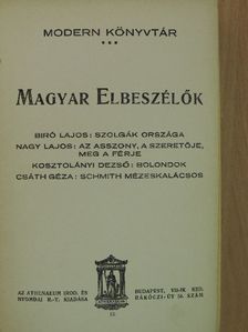 Biró Lajos - Magyar Elbeszélők III. [antikvár]
