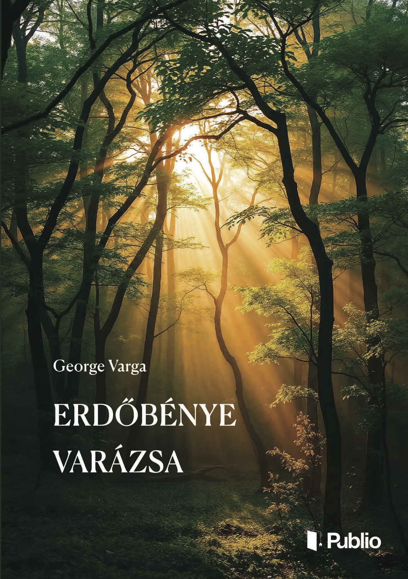 George Varga - Erdőbénye varázsa [eKönyv: epub, mobi]