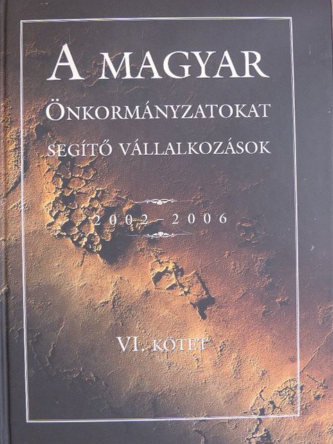 A magyar önkormányzatokat segítő vállalkozások [antikvár]