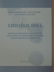 Prugberger Tamás - Szociális jog I. [antikvár]