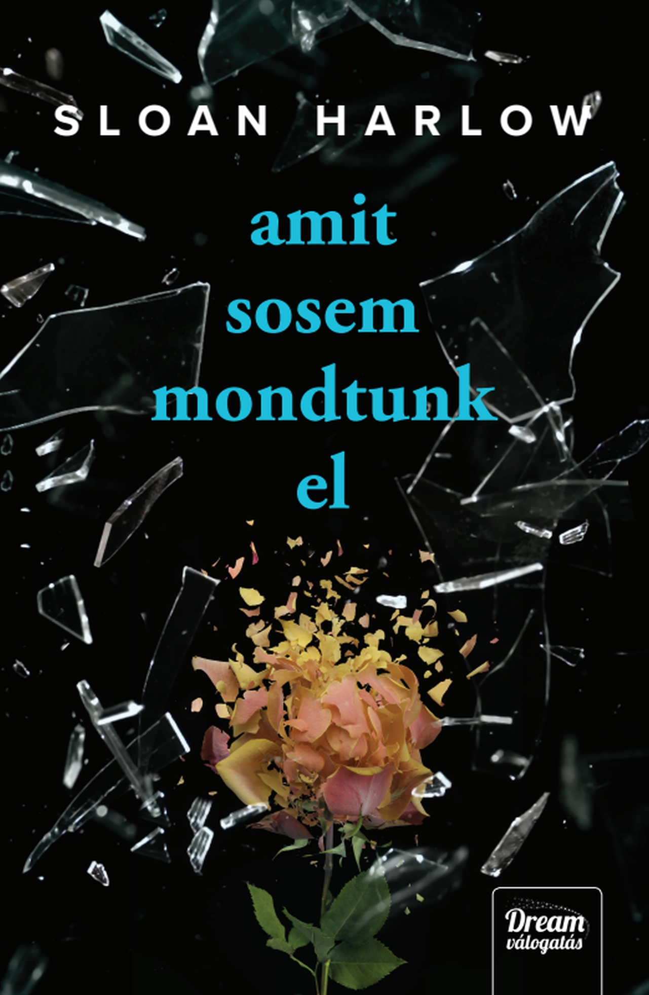 Sloan Harlow - Amit sosem mondtunk el [eKönyv: epub, mobi]