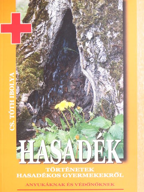 Cs. Tóth Ibolya - Hasadék  [antikvár]