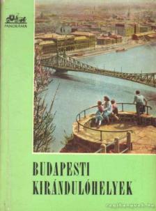 RÓNA TIBOR - Budapesti kirándulóhelyek [antikvár]