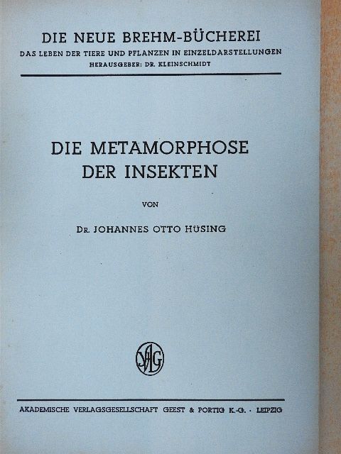 Dr. Johannes Otto Hüsing - Die Metamorphose der Insekten [antikvár]