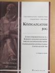 Csáki-Hatalovics Gyula - Közigazgatási jog [antikvár]