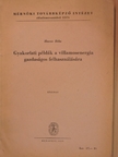 Havas Béla - Gyakorlati példák a villamosenergia gazdaságos felhasználására [antikvár]