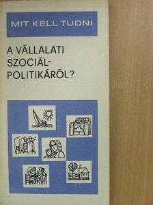 Dr. Stuber Ervinné - Mit kell tudni a vállalati szociálpolitikáról? [antikvár]