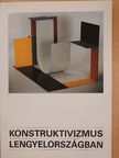 Andrzej Plauszewski - Konstruktivizmus Lengyelországban [antikvár]