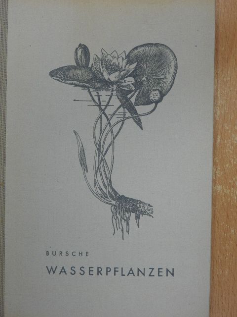 Dr. E.-M. Bursche - Wasserpflanzen [antikvár]