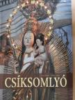 Técsi Zoltán - Csíksomlyó [antikvár]