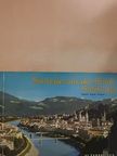 Pert Peternell - Souvenir aus Stadt Salzburg [antikvár]