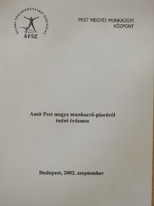 Amit Pest megye munkaerő-piacáról tudni érdemes  [antikvár]