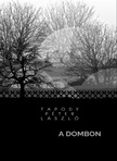 Tapody Péter László - A Dombon [eKönyv: epub, mobi]