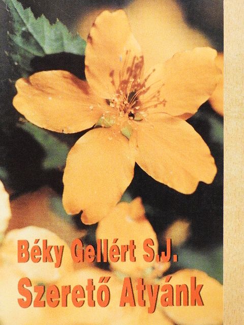 Béky Gellért S. J. - Szerető Atyánk [antikvár]