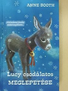 Anne Booth - Lucy csodálatos meglepetése [antikvár]