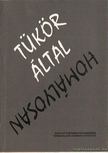 Bayer József - Tükör által homályosan [antikvár]