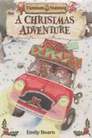 Emily Bearn - A Christmas Adventure [antikvár]