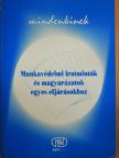 Dr. Varga László - Munkavédelmi iratminták és magyarázatok egyes eljárásokhoz [antikvár]