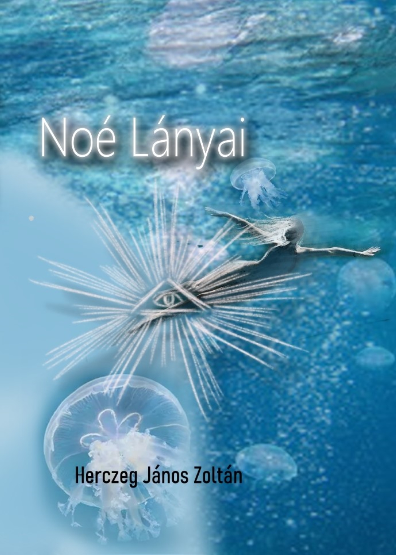 Herczeg János Zoltán - Noé lányai