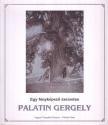 Korzenszky Richárd, Mayer Farkas, Kincses Károly, Szigeti Kerény - Egy fényképező szerzetes: Palatin Gergely [antikvár]
