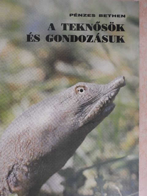 Pénzes Bethen - A teknősök és gondozásuk [antikvár]
