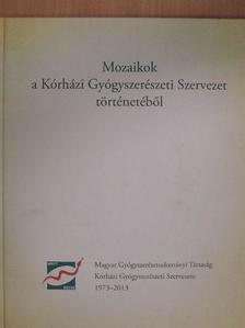 Dr. Higyisán Ilona - Mozaikok a Kórházi Gyógyszerészeti Szervezet történetéből [antikvár]