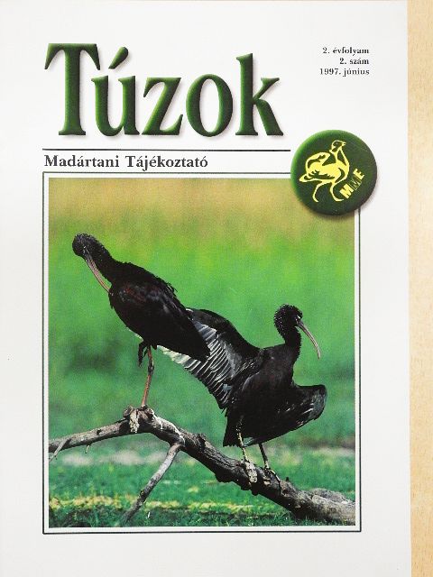 Ecsedi Zoltán - Túzok 1997. június [antikvár]