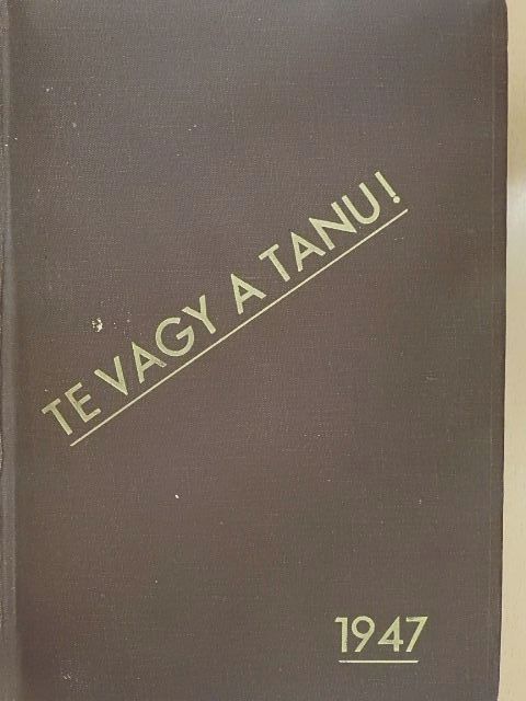 Antal Gábor - Te vagy a tanu! [antikvár]
