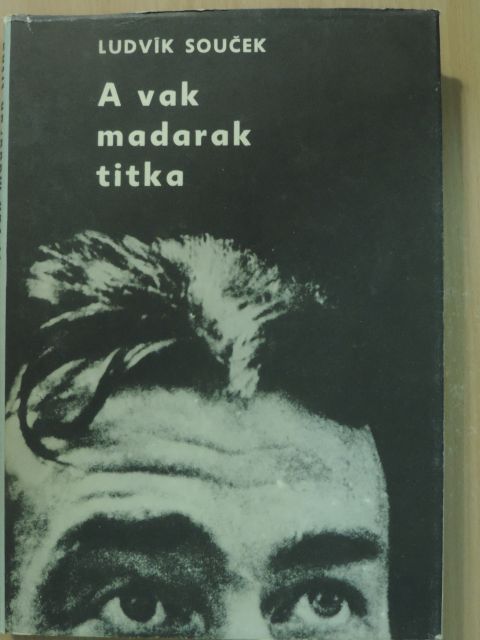 Ludvik Soucek - A vak madarak titka [antikvár]
