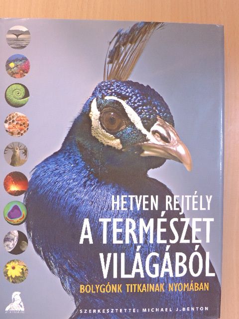 Colin Allen - Hetven rejtély a természet világából [antikvár]