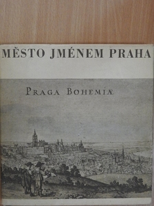 Karel Siktanc - Mesto Jménem Praha [antikvár]