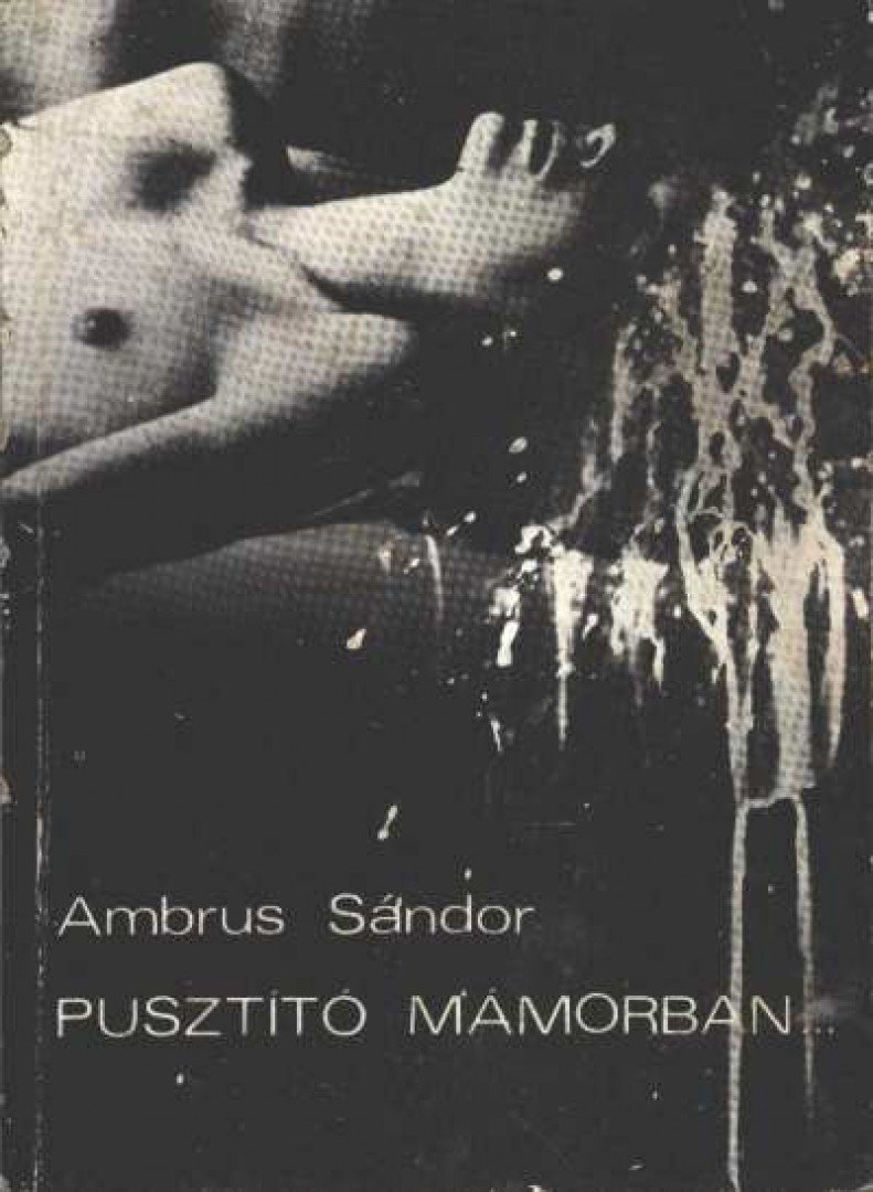 AMBRUS SÁNDOR - Pusztító mámorban [antikvár]