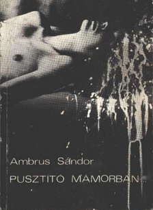 AMBRUS SÁNDOR - Pusztító mámorban [antikvár]
