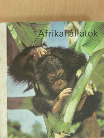 Afrikai állatok [antikvár]