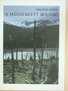 Balogh János - A megsebzett bolygó [antikvár]