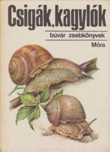 Krolopp Endre - Csigák, kagylók [antikvár]