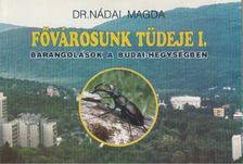 Dr. Nádai Magda - Fővárosunk tüdeje I. [antikvár]