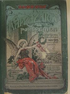 Somogyi János - Káprázatok és porszemek [antikvár]