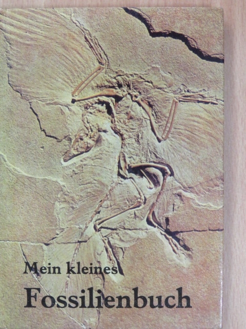 Dr. Jochen Helms - Mein kleines Fossilienbuch [antikvár]