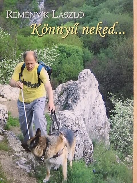 Reményik László - Könnyű neked... [antikvár]