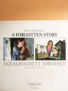 Trencsényi Klára - Egy elfeledett történet [antikvár]