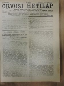 Dr. Kasztriner Iván - Orvosi Hetilap 1928. (nem teljes évfolyam) [antikvár]