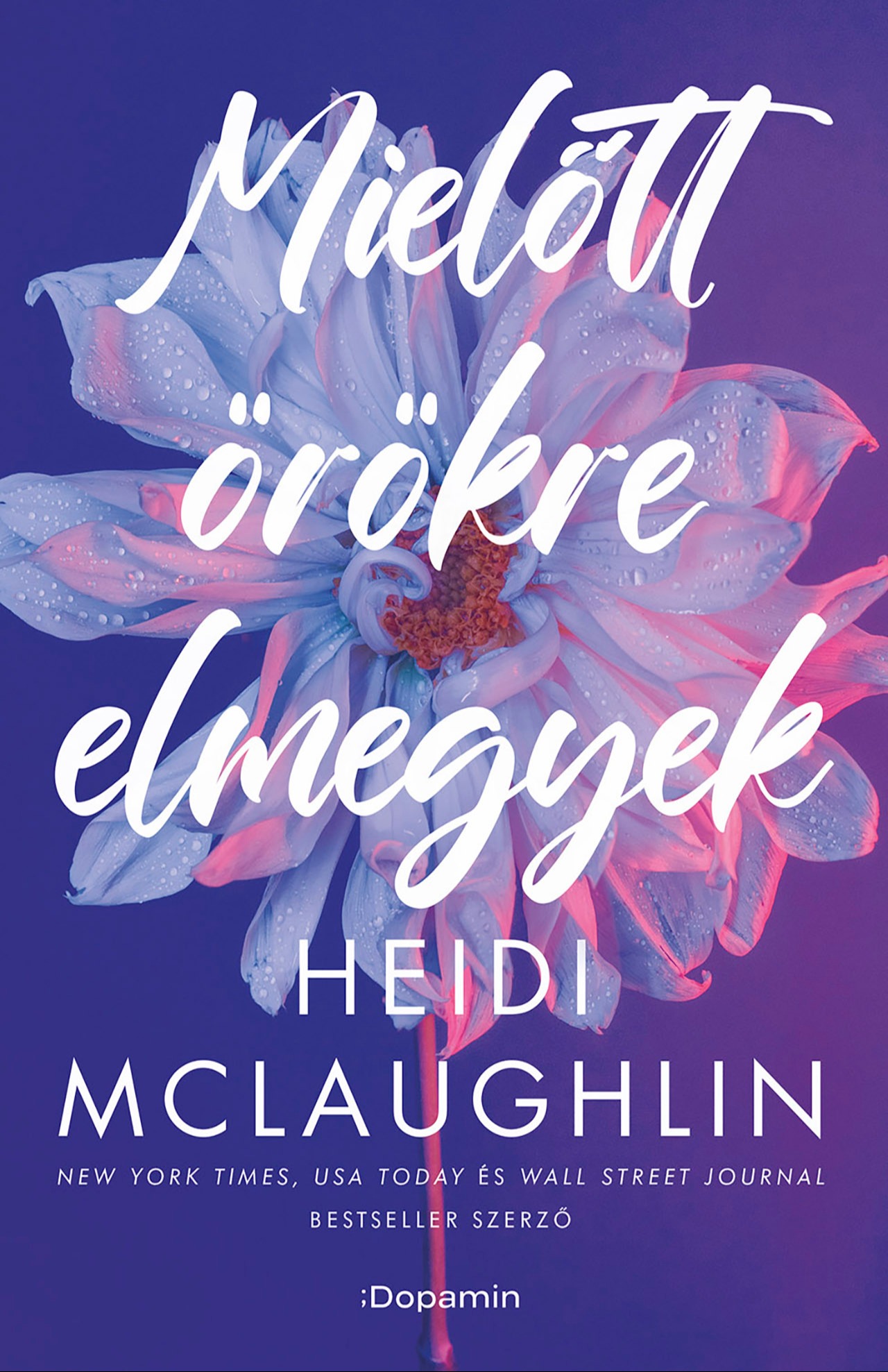 Heidi McLaughlin - Mielőtt örökre elmegyek [eKönyv: epub, mobi]
