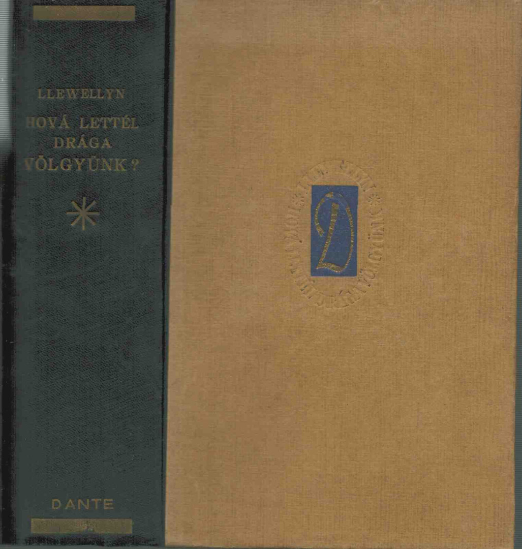 RICHARD LLEWELLYN - Hová lettél drága völgyünk? [antikvár]